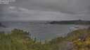 ./images/calvert/foggy-cove/20250620/foggy-cove20250620_084009M.jpg