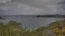 ./images/calvert/foggy-cove/20250620/foggy-cove20250620_084511M.jpg