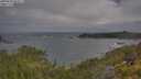 ./images/calvert/foggy-cove/20250620/foggy-cove20250620_085007M.jpg