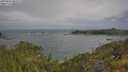 ./images/calvert/foggy-cove/20250620/foggy-cove20250620_085511M.jpg