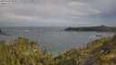 ./images/calvert/foggy-cove/20250620/foggy-cove20250620_090011M.jpg