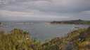 ./images/calvert/foggy-cove/20250620/foggy-cove20250620_090509M.jpg
