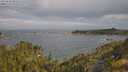 ./images/calvert/foggy-cove/20250620/foggy-cove20250620_091009M.jpg