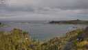 ./images/calvert/foggy-cove/20250620/foggy-cove20250620_091511M.jpg