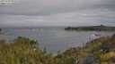 ./images/calvert/foggy-cove/20250620/foggy-cove20250620_092509M.jpg