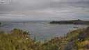 ./images/calvert/foggy-cove/20250620/foggy-cove20250620_093012M.jpg