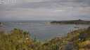 ./images/calvert/foggy-cove/20250620/foggy-cove20250620_093510M.jpg