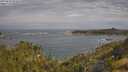 ./images/calvert/foggy-cove/20250620/foggy-cove20250620_094010M.jpg