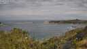 ./images/calvert/foggy-cove/20250620/foggy-cove20250620_094509M.jpg