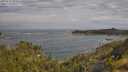 ./images/calvert/foggy-cove/20250620/foggy-cove20250620_095011M.jpg
