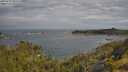 ./images/calvert/foggy-cove/20250620/foggy-cove20250620_095509M.jpg