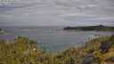 ./images/calvert/foggy-cove/20250620/foggy-cove20250620_100012M.jpg