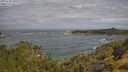 ./images/calvert/foggy-cove/20250620/foggy-cove20250620_100508M.jpg