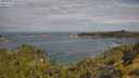 ./images/calvert/foggy-cove/20250620/foggy-cove20250620_101010M.jpg