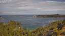 ./images/calvert/foggy-cove/20250620/foggy-cove20250620_101511M.jpg