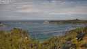 ./images/calvert/foggy-cove/20250620/foggy-cove20250620_102010M.jpg