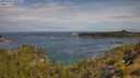 ./images/calvert/foggy-cove/20250620/foggy-cove20250620_103011M.jpg