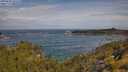 ./images/calvert/foggy-cove/20250620/foggy-cove20250620_103510M.jpg