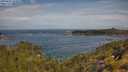 ./images/calvert/foggy-cove/20250620/foggy-cove20250620_104010M.jpg