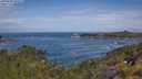 ./images/calvert/foggy-cove/20250620/foggy-cove20250620_105008M.jpg
