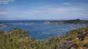 ./images/calvert/foggy-cove/20250620/foggy-cove20250620_105510M.jpg