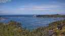 ./images/calvert/foggy-cove/20250620/foggy-cove20250620_110012M.jpg