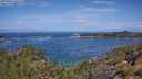 ./images/calvert/foggy-cove/20250620/foggy-cove20250620_111510M.jpg