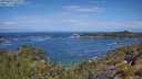 ./images/calvert/foggy-cove/20250620/foggy-cove20250620_112009M.jpg