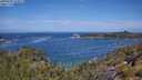 ./images/calvert/foggy-cove/20250620/foggy-cove20250620_113011M.jpg