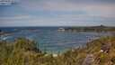 ./images/calvert/foggy-cove/20250620/foggy-cove20250620_131008M.jpg