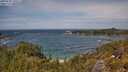 ./images/calvert/foggy-cove/20250620/foggy-cove20250620_131510M.jpg