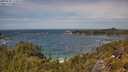 ./images/calvert/foggy-cove/20250620/foggy-cove20250620_132010M.jpg