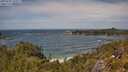 ./images/calvert/foggy-cove/20250620/foggy-cove20250620_133511M.jpg
