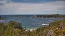 ./images/calvert/foggy-cove/20250620/foggy-cove20250620_141010M.jpg