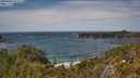 ./images/calvert/foggy-cove/20250620/foggy-cove20250620_142511M.jpg