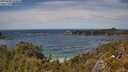 ./images/calvert/foggy-cove/20250620/foggy-cove20250620_143010M.jpg