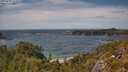./images/calvert/foggy-cove/20250620/foggy-cove20250620_144510M.jpg