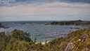 ./images/calvert/foggy-cove/20250620/foggy-cove20250620_153011M.jpg