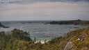 ./images/calvert/foggy-cove/20250620/foggy-cove20250620_161510M.jpg