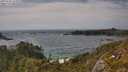 ./images/calvert/foggy-cove/20250620/foggy-cove20250620_162512M.jpg
