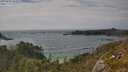 ./images/calvert/foggy-cove/20250620/foggy-cove20250620_164508M.jpg