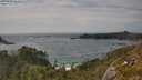 ./images/calvert/foggy-cove/20250620/foggy-cove20250620_165010M.jpg