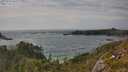 ./images/calvert/foggy-cove/20250620/foggy-cove20250620_165509M.jpg