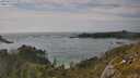 ./images/calvert/foggy-cove/20250620/foggy-cove20250620_172012M.jpg