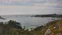 ./images/calvert/foggy-cove/20250620/foggy-cove20250620_173011M.jpg