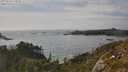 ./images/calvert/foggy-cove/20250620/foggy-cove20250620_173510M.jpg