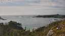 ./images/calvert/foggy-cove/20250620/foggy-cove20250620_174010M.jpg