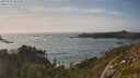 ./images/calvert/foggy-cove/20250620/foggy-cove20250620_183010M.jpg