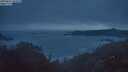 ./images/calvert/foggy-cove/20250621/foggy-cove20250621_043008M.jpg