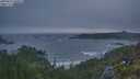 ./images/calvert/foggy-cove/20250621/foggy-cove20250621_050008M.jpg
